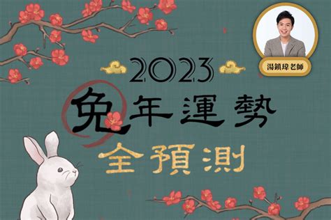 2023年屬性|2023年12生肖運勢大全——生肖兔